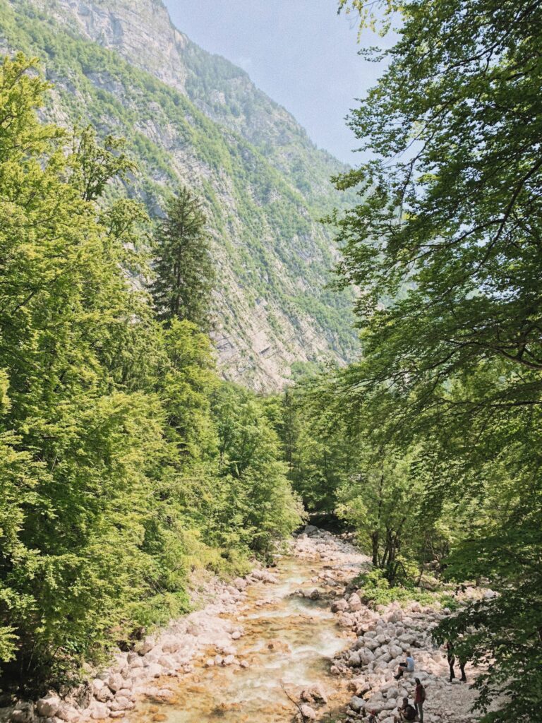 Naše cesta k vodopádu Savica