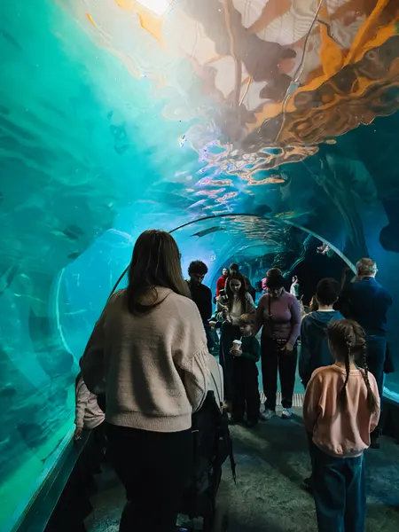 Wroclaw zoo s dětmi