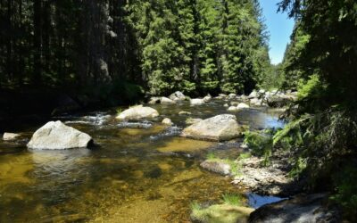 Šumava s dětmi: výlety, ubytování a tipy 2026